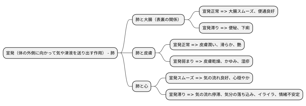 宣発と他の臓器との関係