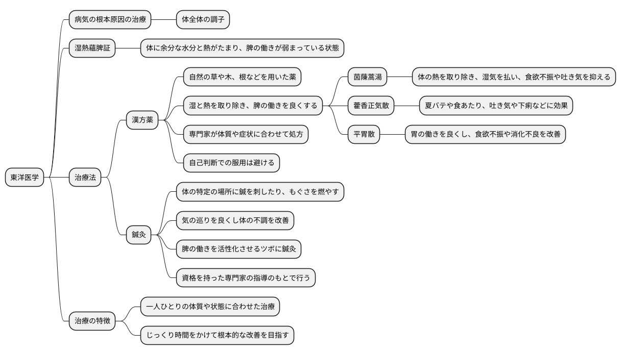 東洋医学的治療