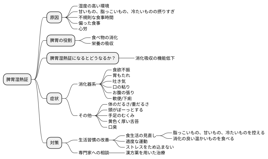 脾胃湿熱証とは