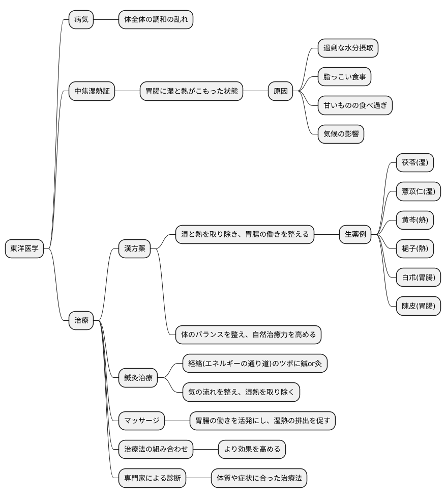 東洋医学的治療