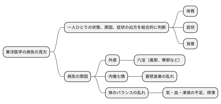 東洋医学における疾病の分類
