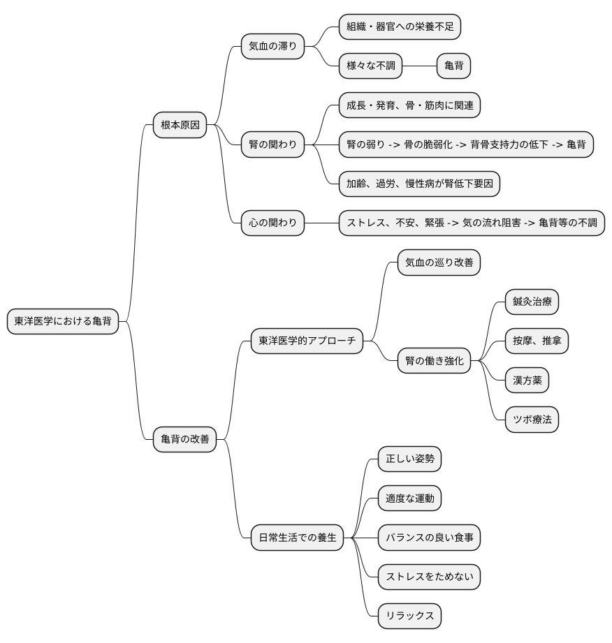 東洋医学の見解