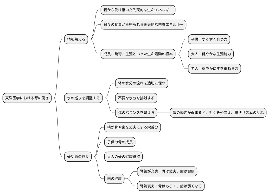 腎の働き