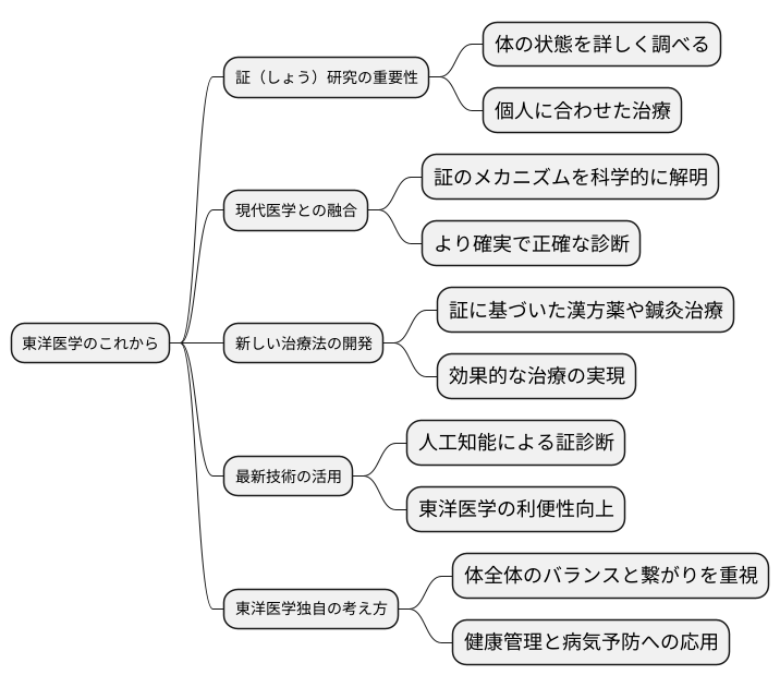 未来への展望