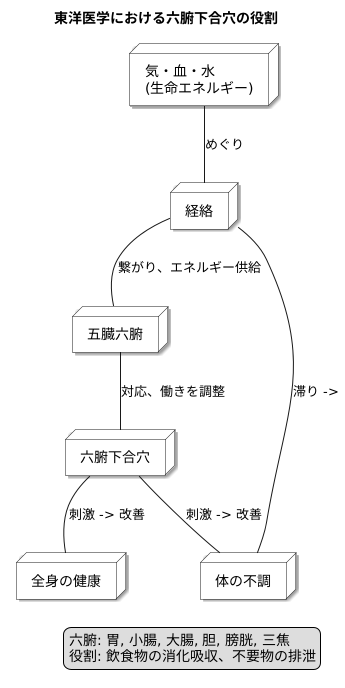 経絡と六腑の関係