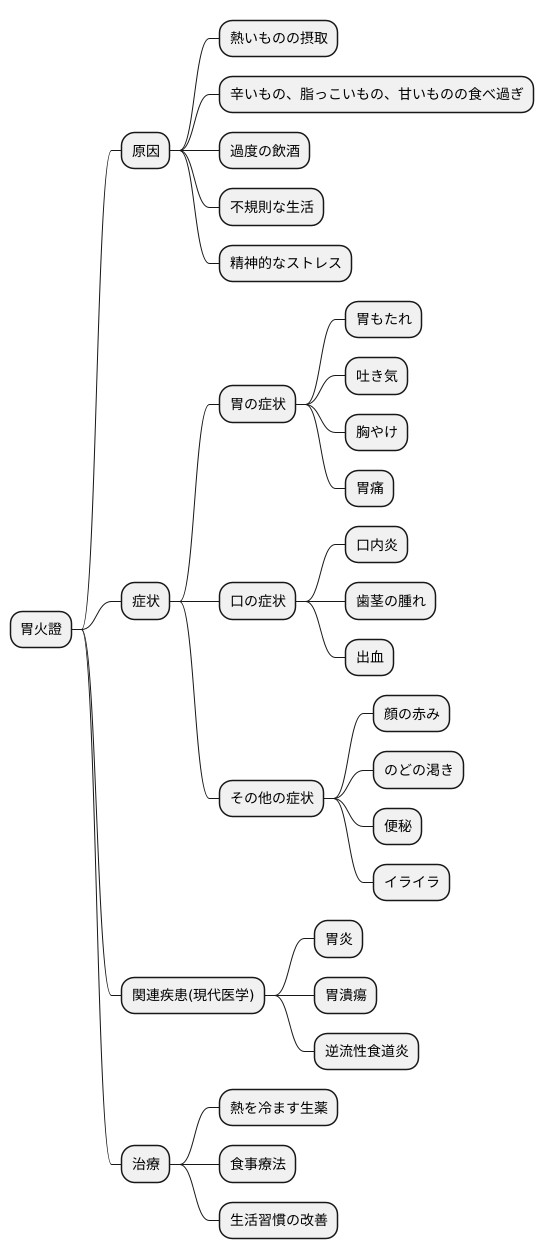 胃火證とは