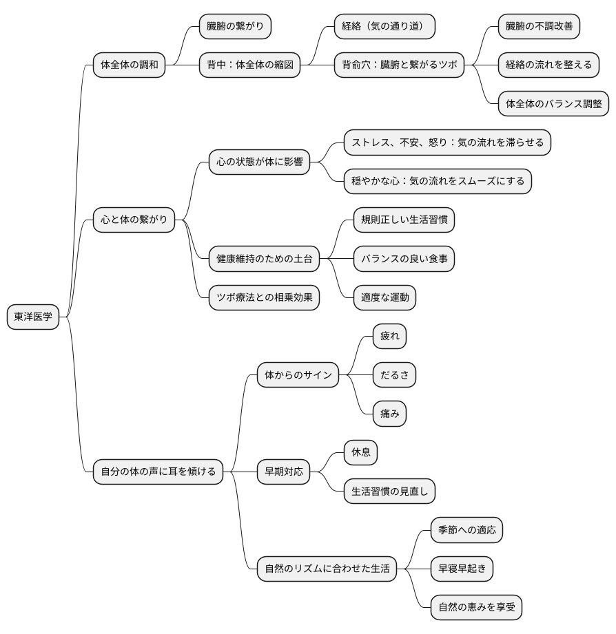 体全体の調和を大切に