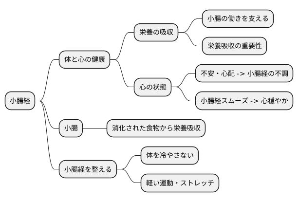 小腸経と体の関係