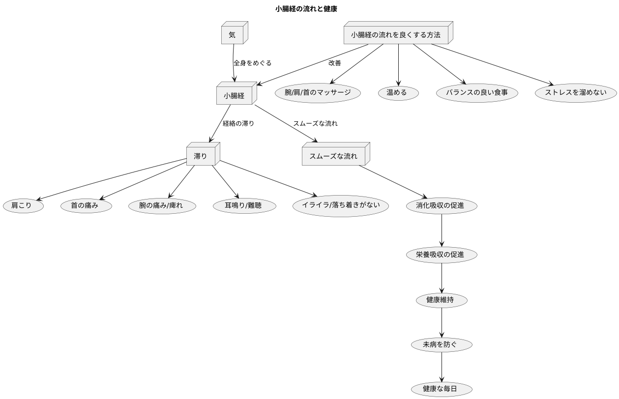 経絡の流れと健康