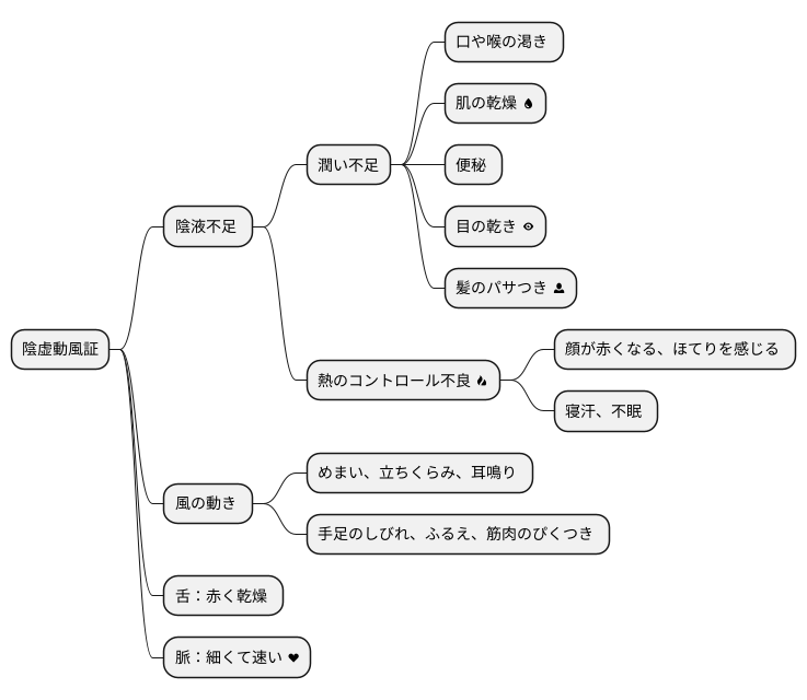 陰虚動風証の症状
