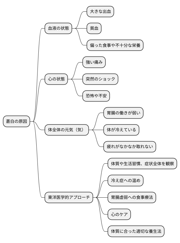 蒼白の原因を探る