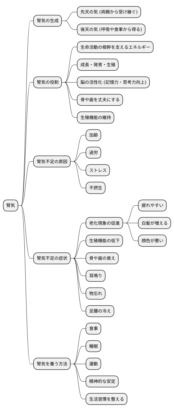 腎気と健康の関係