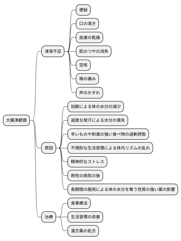 大腸津虧證とは何か