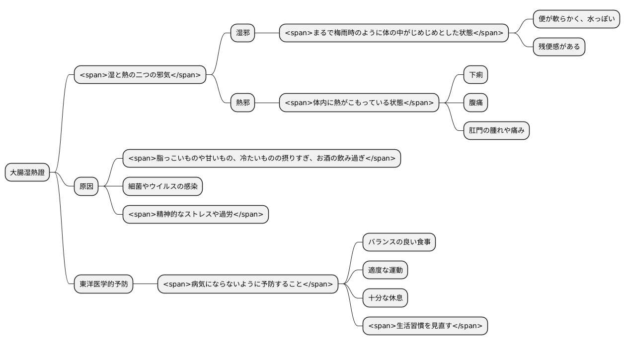 大腸湿熱證とは