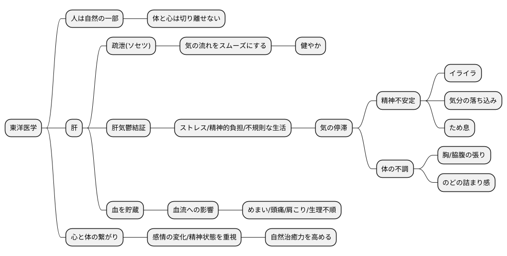 東洋医学的考え方