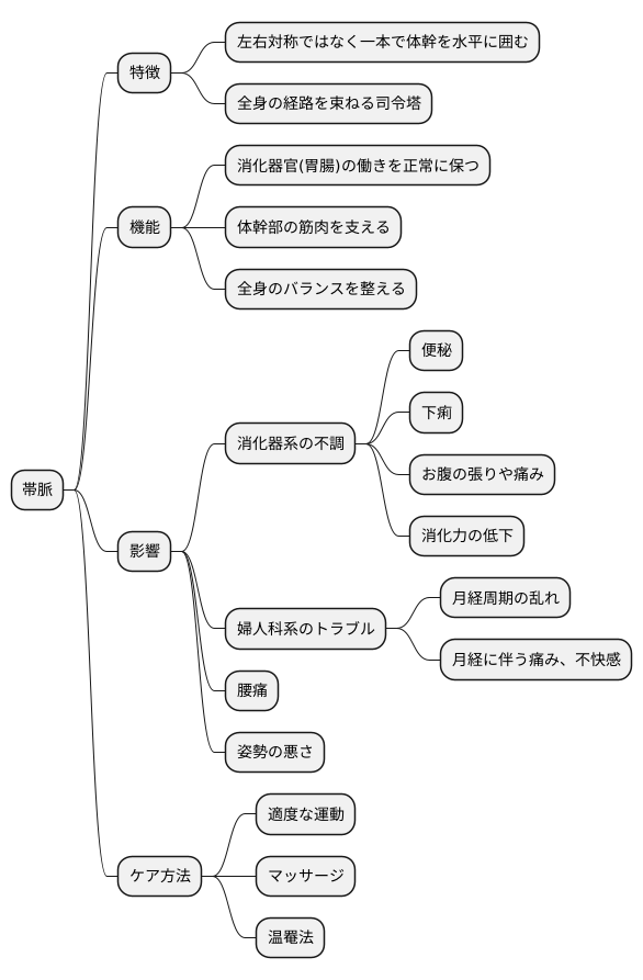 帯脈:他の経脈を束ねる
