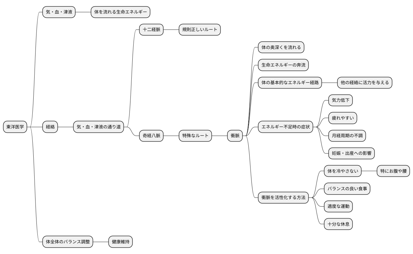 体の基本的なエネルギー経路