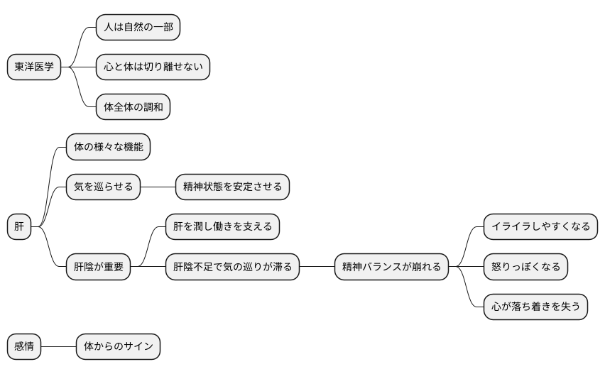 東洋医学的考え方