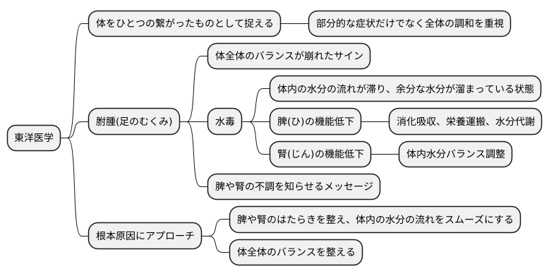 東洋医学的な考え方