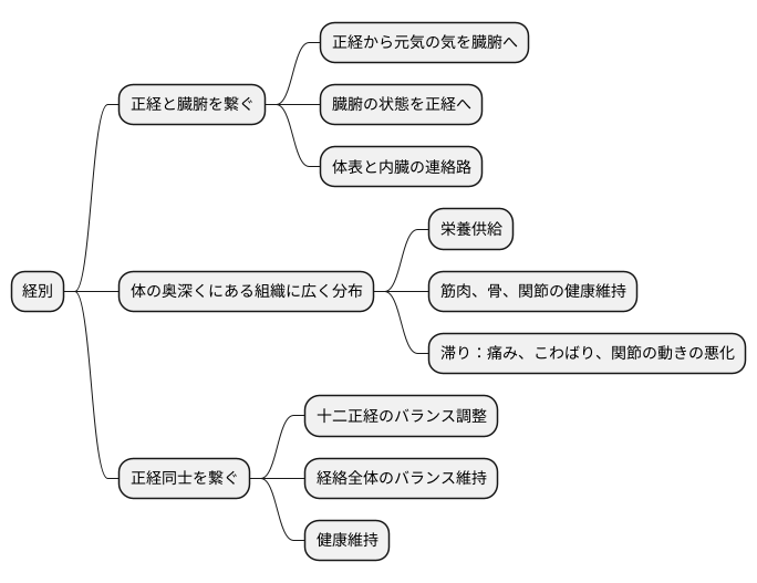 経別の役割と機能