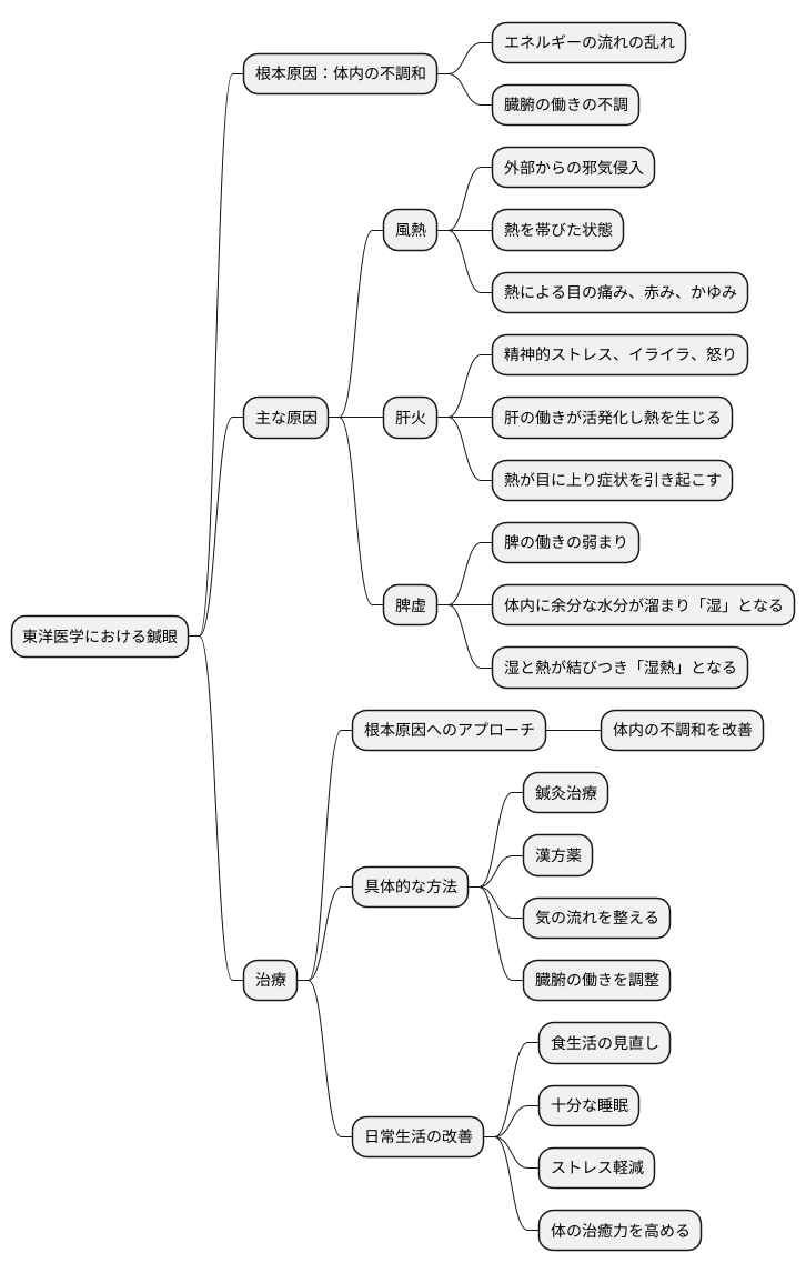 鍼眼の東洋医学的考え方