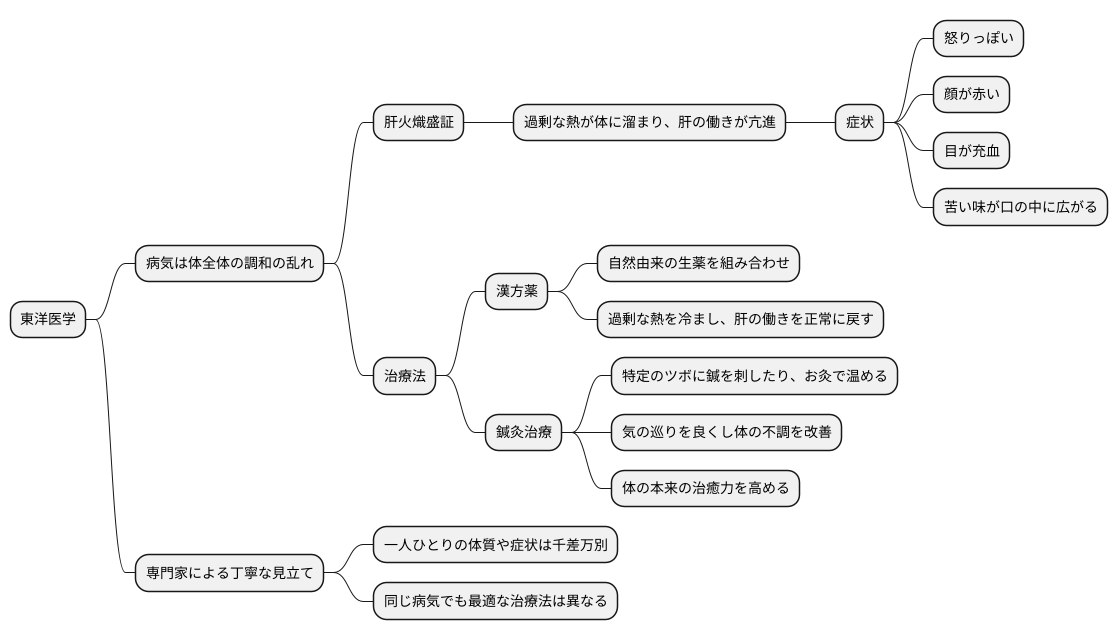 東洋医学的治療