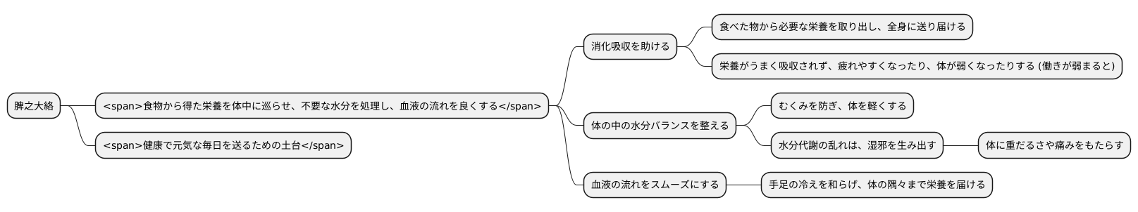 脾之大絡の働き