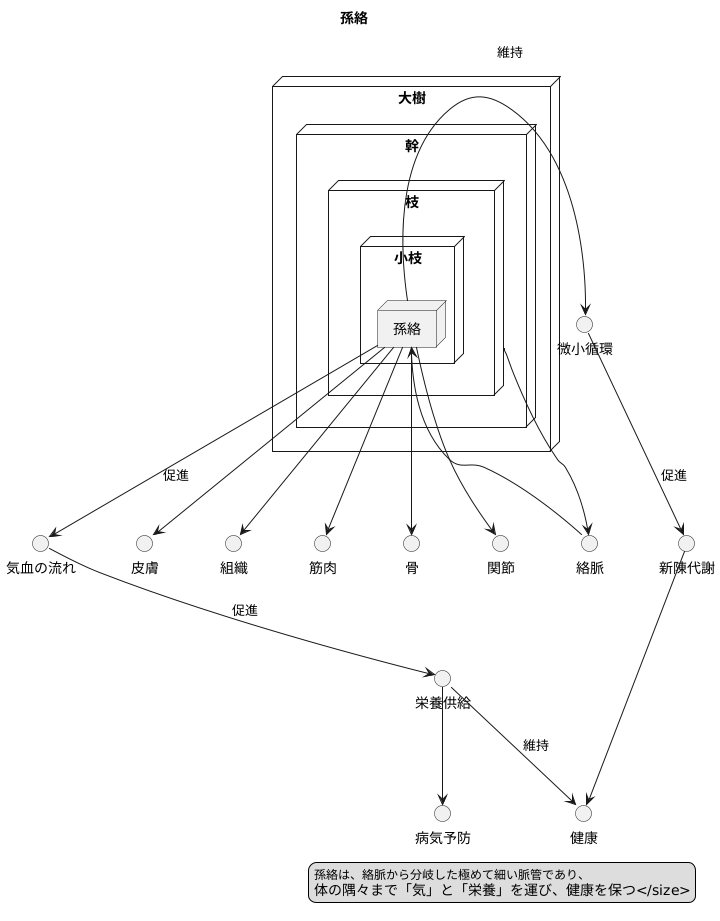 孫絡とは