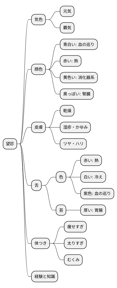 形體の観察方法