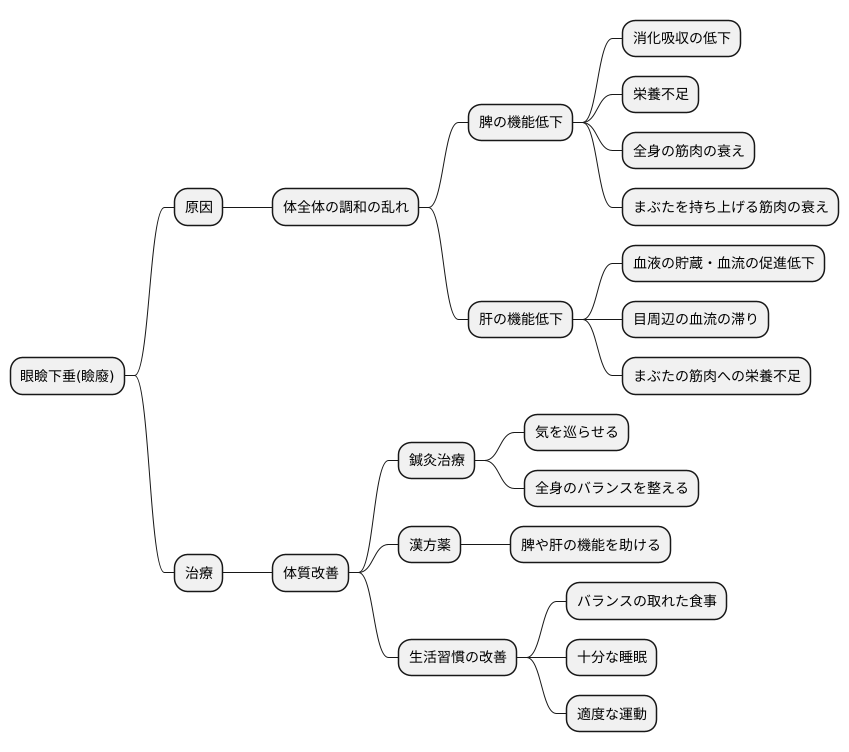 東洋医学的見解