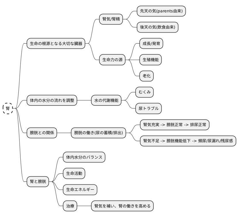 腎と膀胱のはたらき