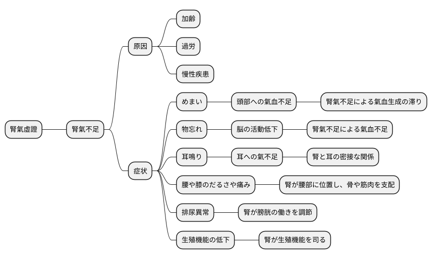 腎氣虛證の症状
