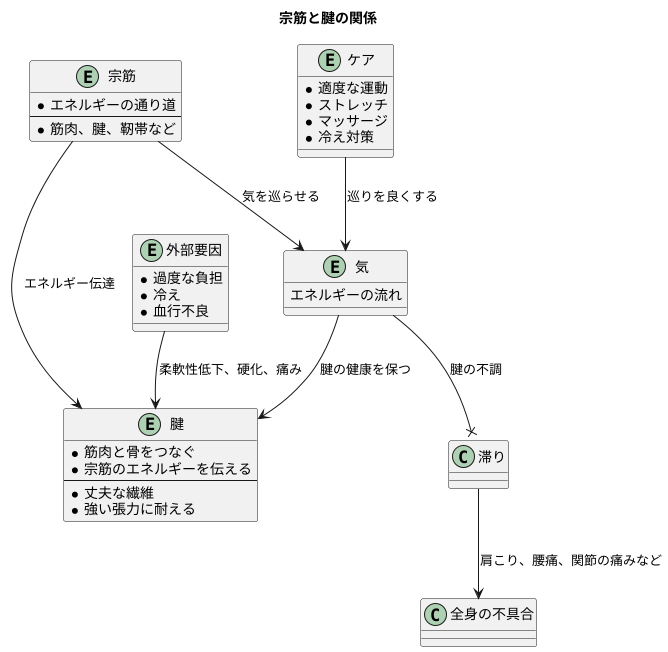 宗筋と腱の関係