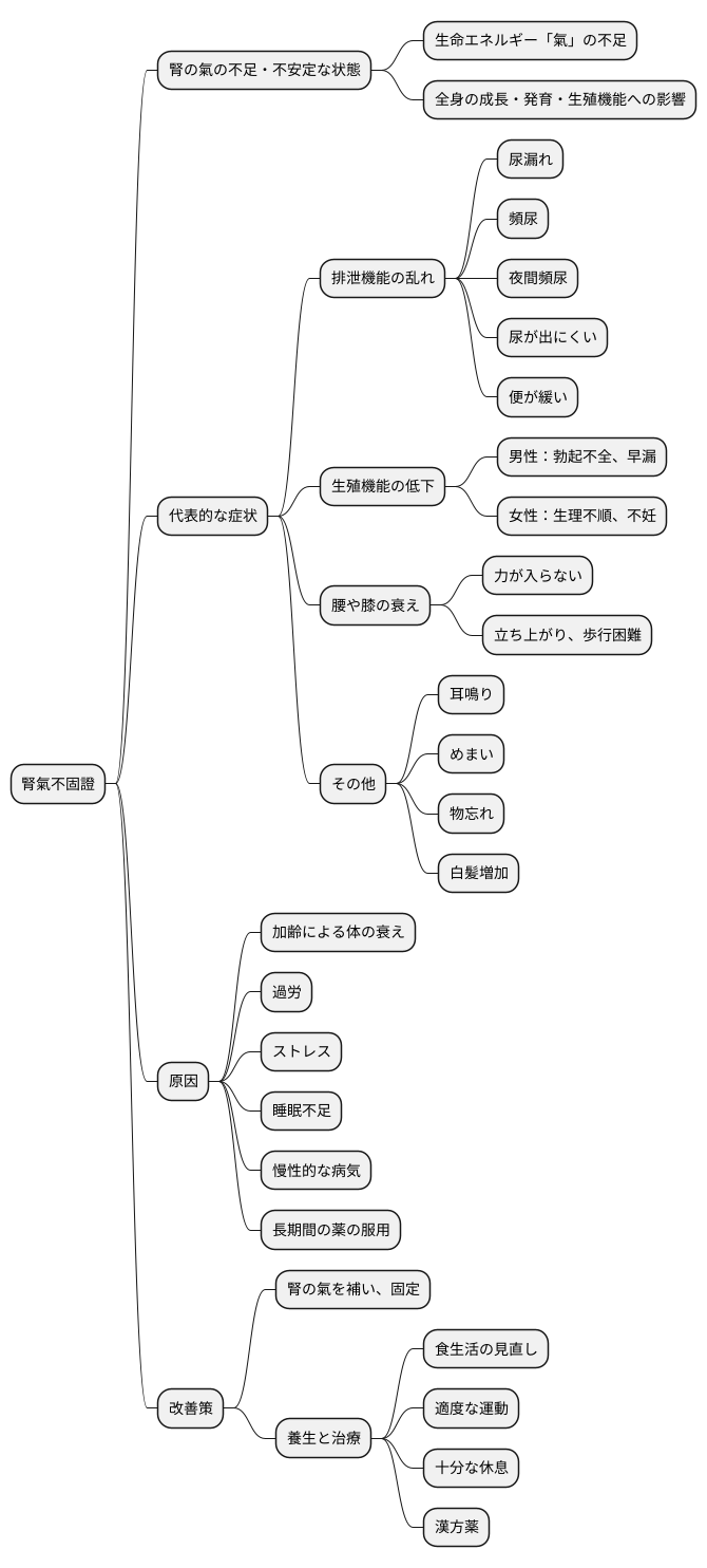腎氣不固證とは