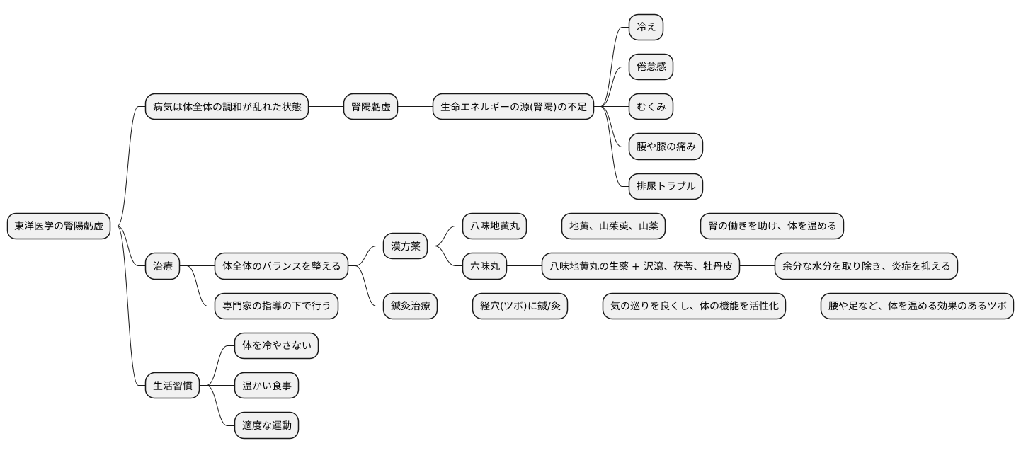 東洋医学的アプローチ