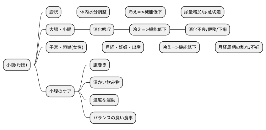 関連する臓腑との繋がり