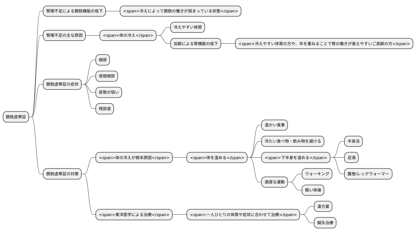 膀胱虚寒証とは