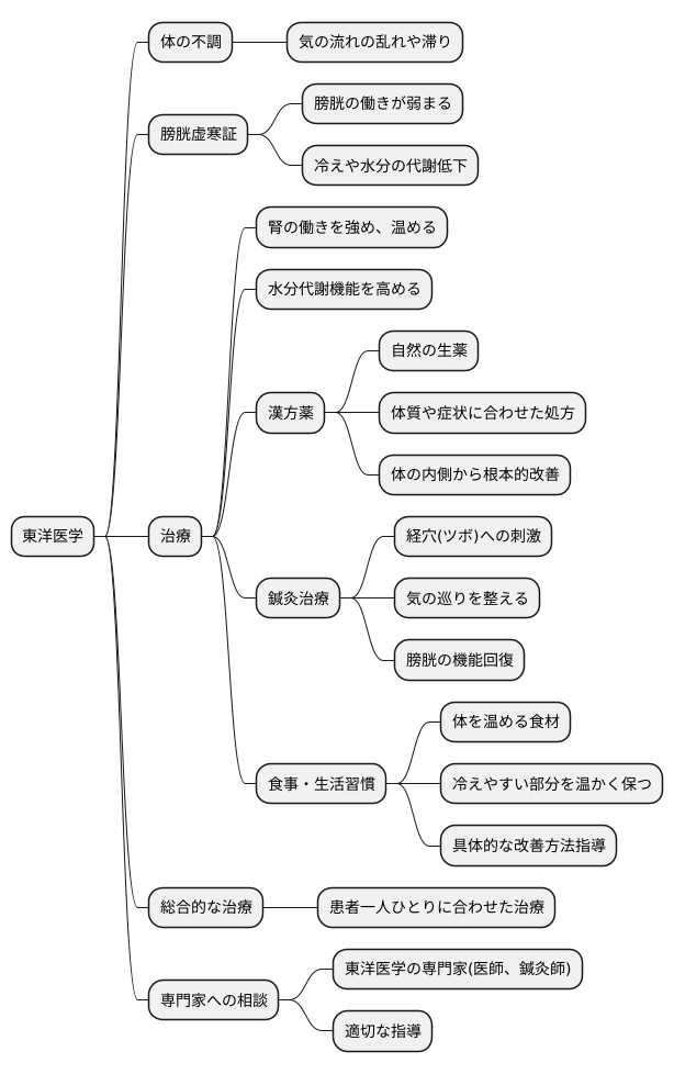 東洋医学的治療
