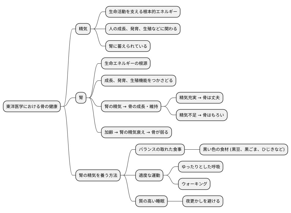 骨と精気の繋がり