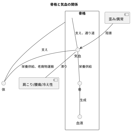 骨格と気血の関係