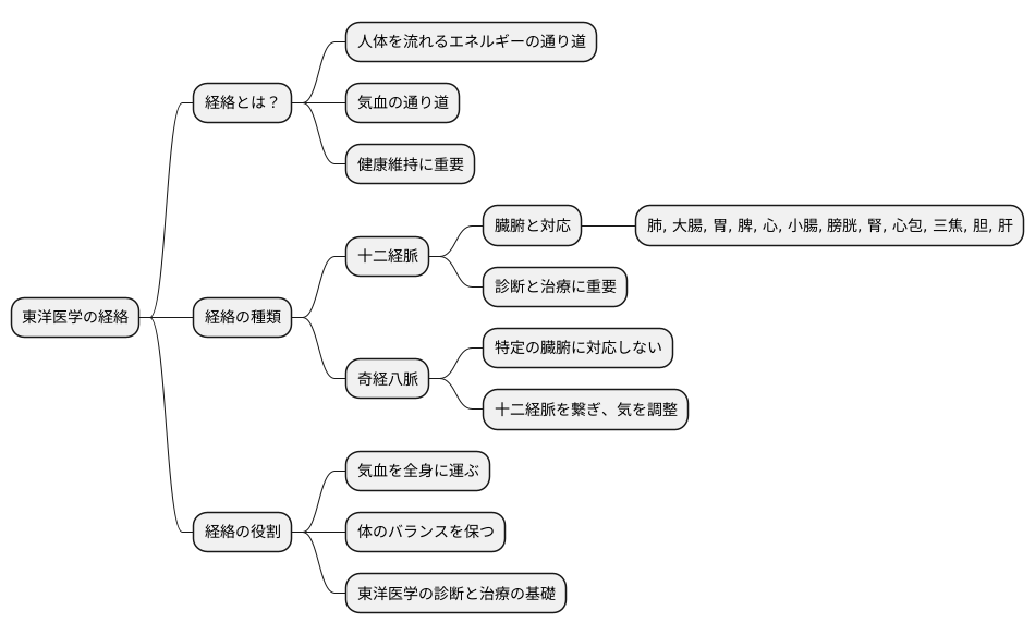 経絡の概念