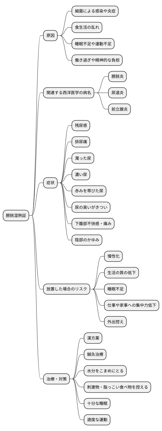 膀胱湿熱証とは