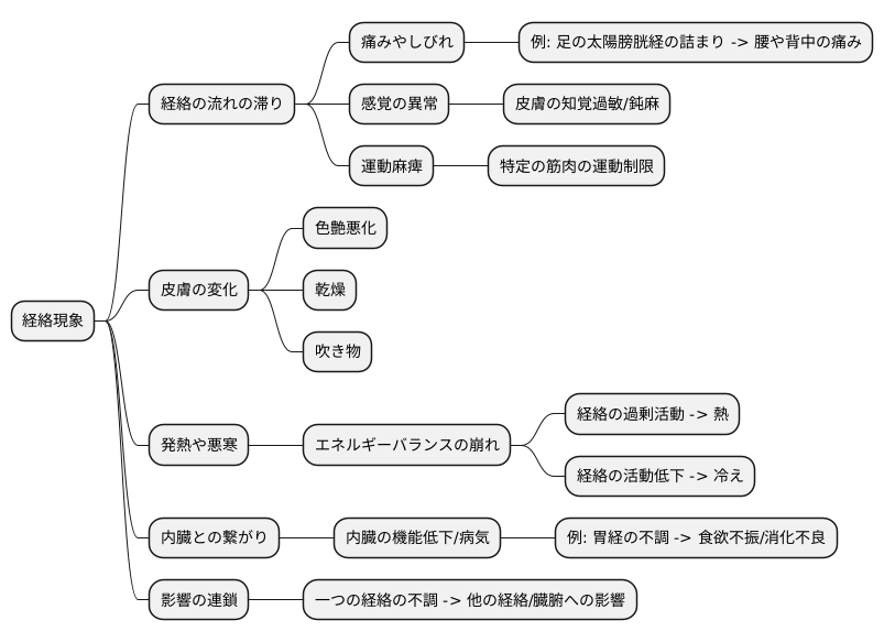 経絡現象の種類