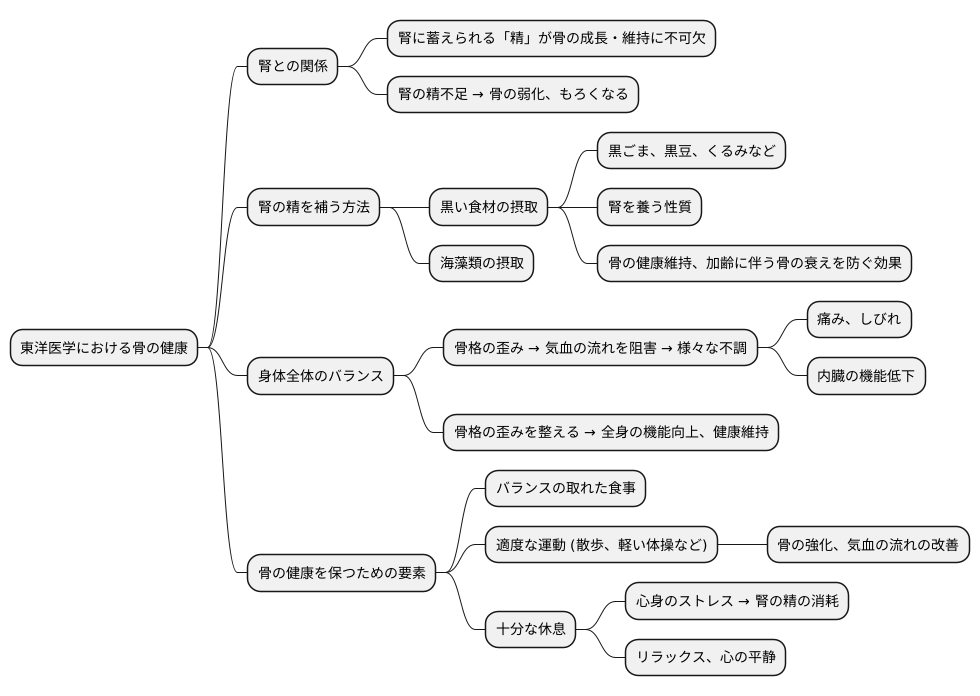 東洋医学的観点からの骨の健康