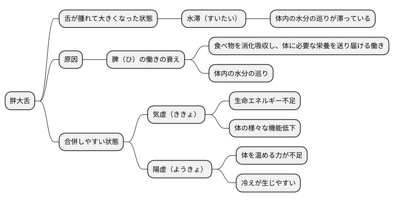 胖大舌の東洋医学的解釈
