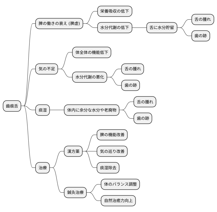 東洋医学的考え方