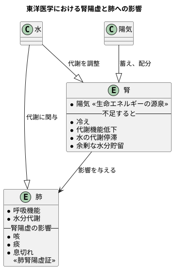 腎の陽気の不足と肺の関係