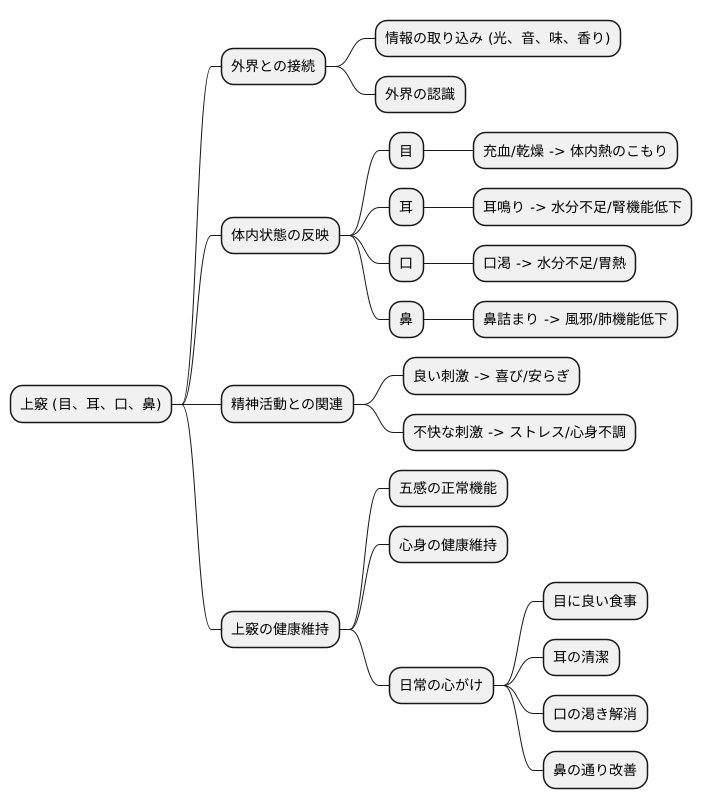 上竅とは何か