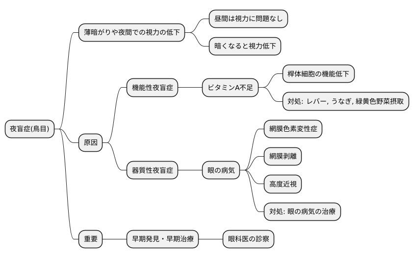 鳥目とは