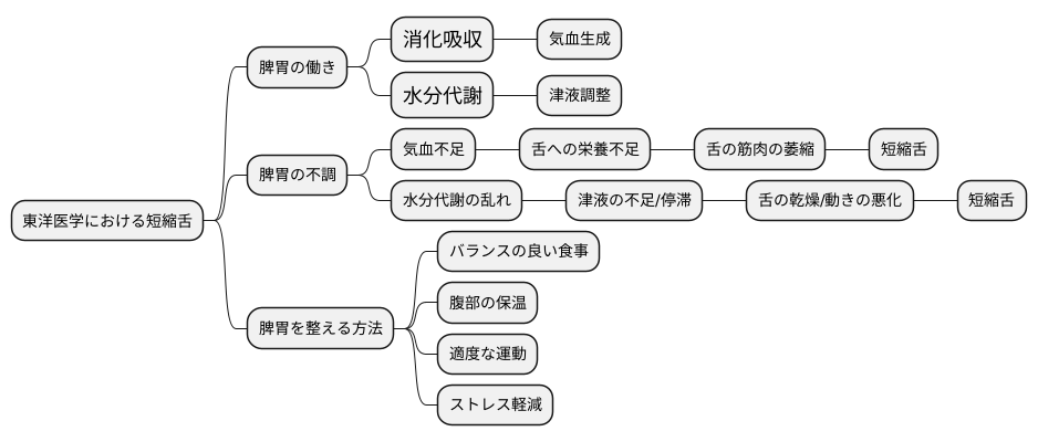 脾胃の働きと短縮舌